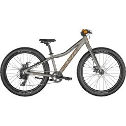 Scott Roxter 24 Kids Bike Raw Alloy 2023